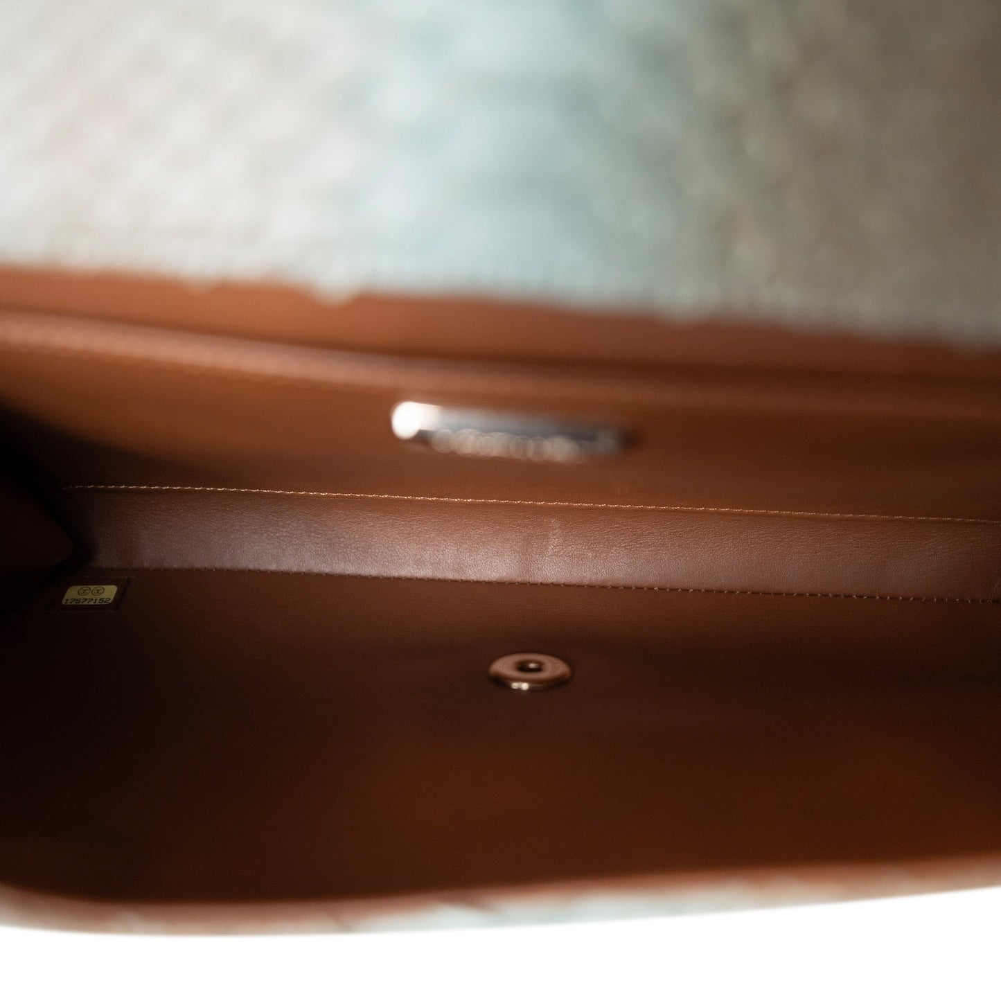 Brown/Blue Python Single Flap Bag Medium LGHW