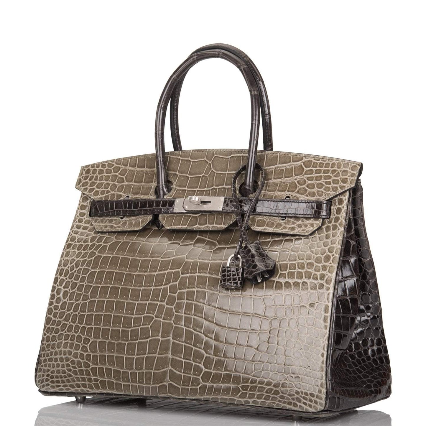 Hermes  Birkin 35cm Bi-Color Gris Tourterelle and Graphite Shiny Porosus Crocodile Brushed Palladium Hardware