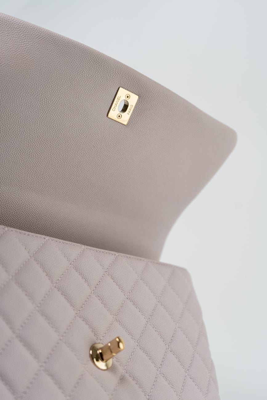 21A Lilac Coco Handle Medium (Old Small) LGHW