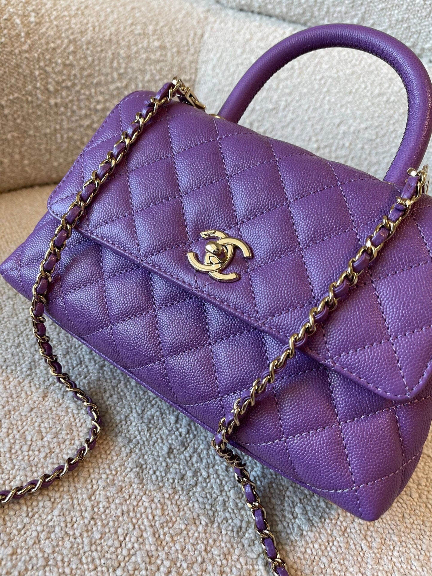 22P Violet Caviar Coco Handle Small LGHW