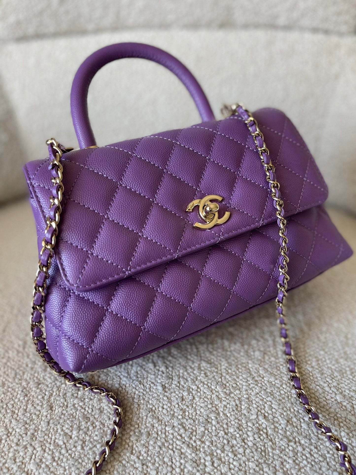 22P Violet Caviar Coco Handle Small LGHW