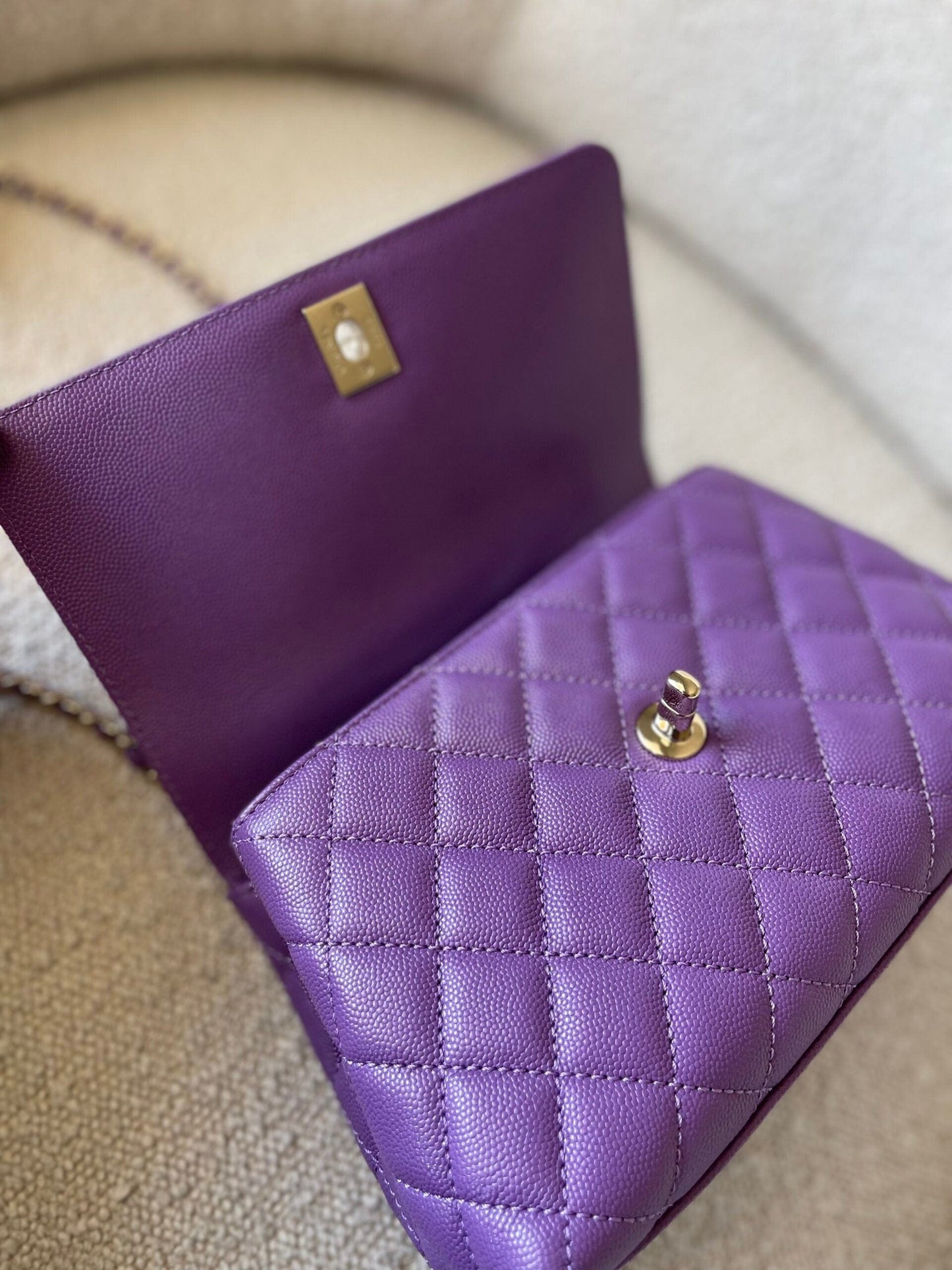 22P Violet Caviar Coco Handle Small LGHW