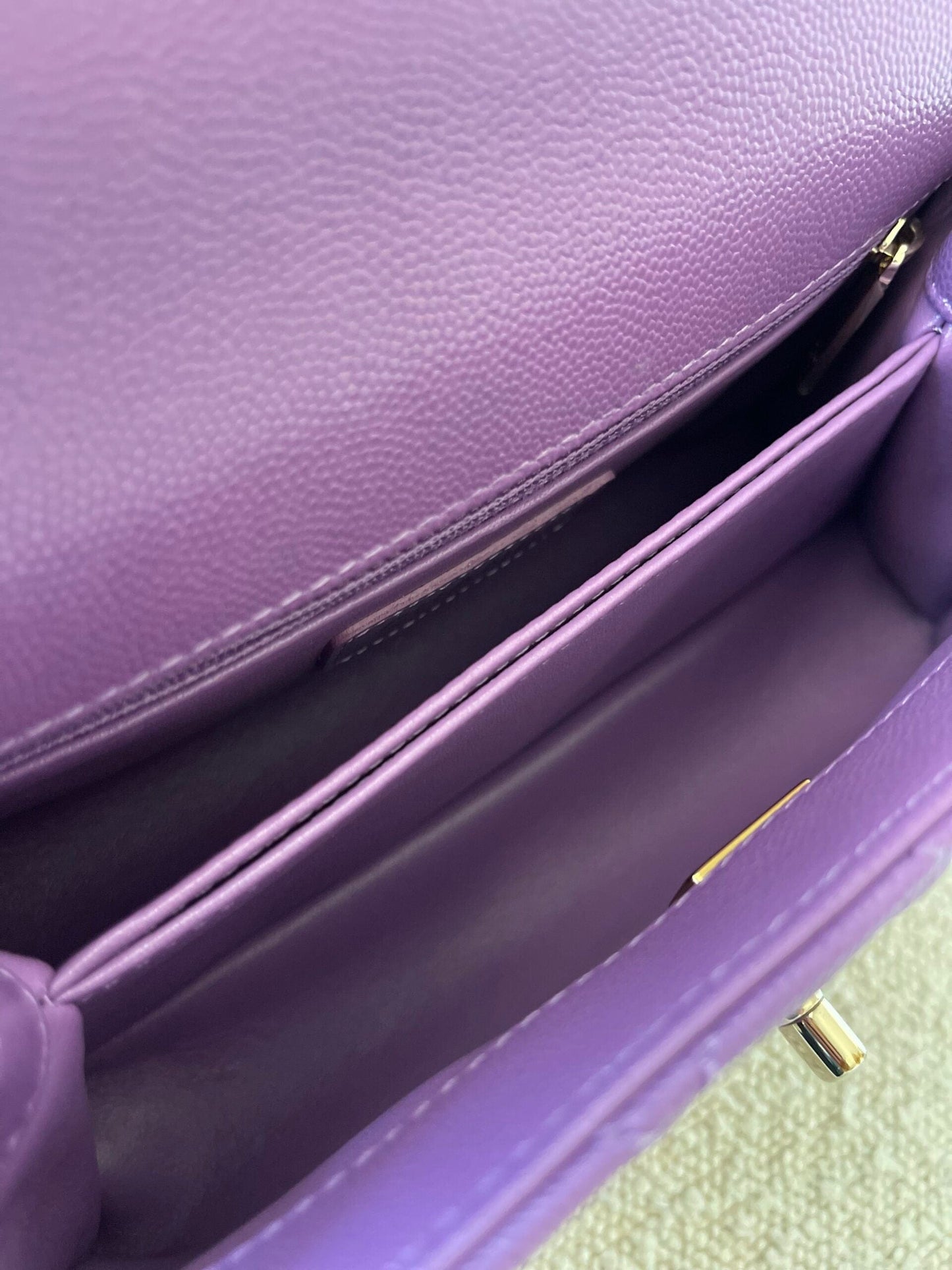 22P Violet Caviar Coco Handle Small LGHW