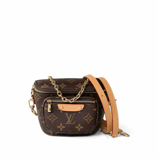 Louis Vuitton Monogram Mini Bum Bag