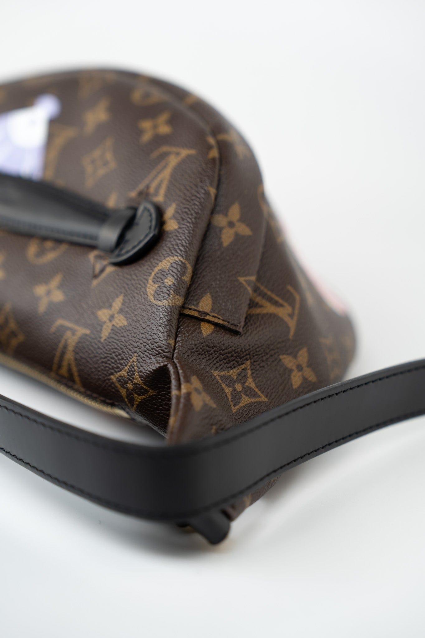 Louis Vuitton Monogram My LV World Tour Bumbag