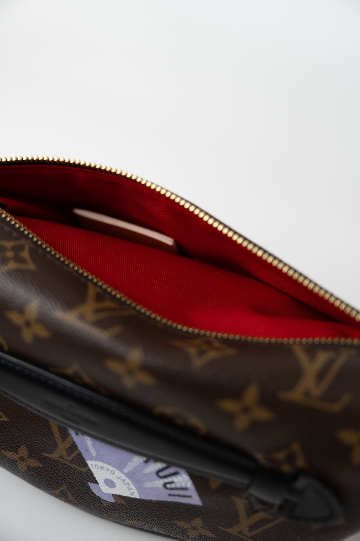 Louis Vuitton Monogram My LV World Tour Bumbag