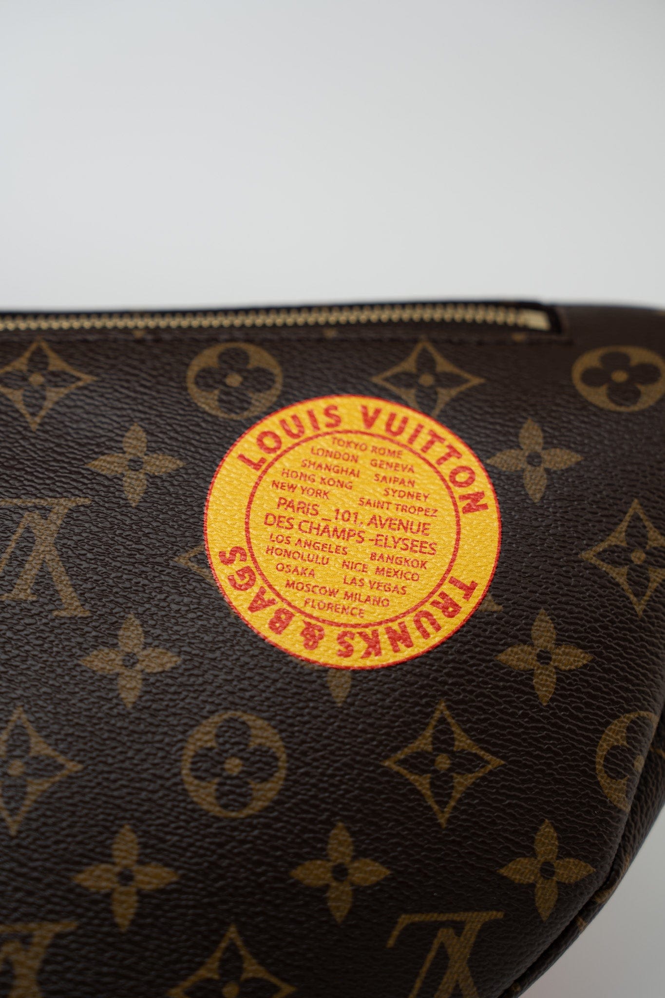 Louis Vuitton Monogram My LV World Tour Bumbag