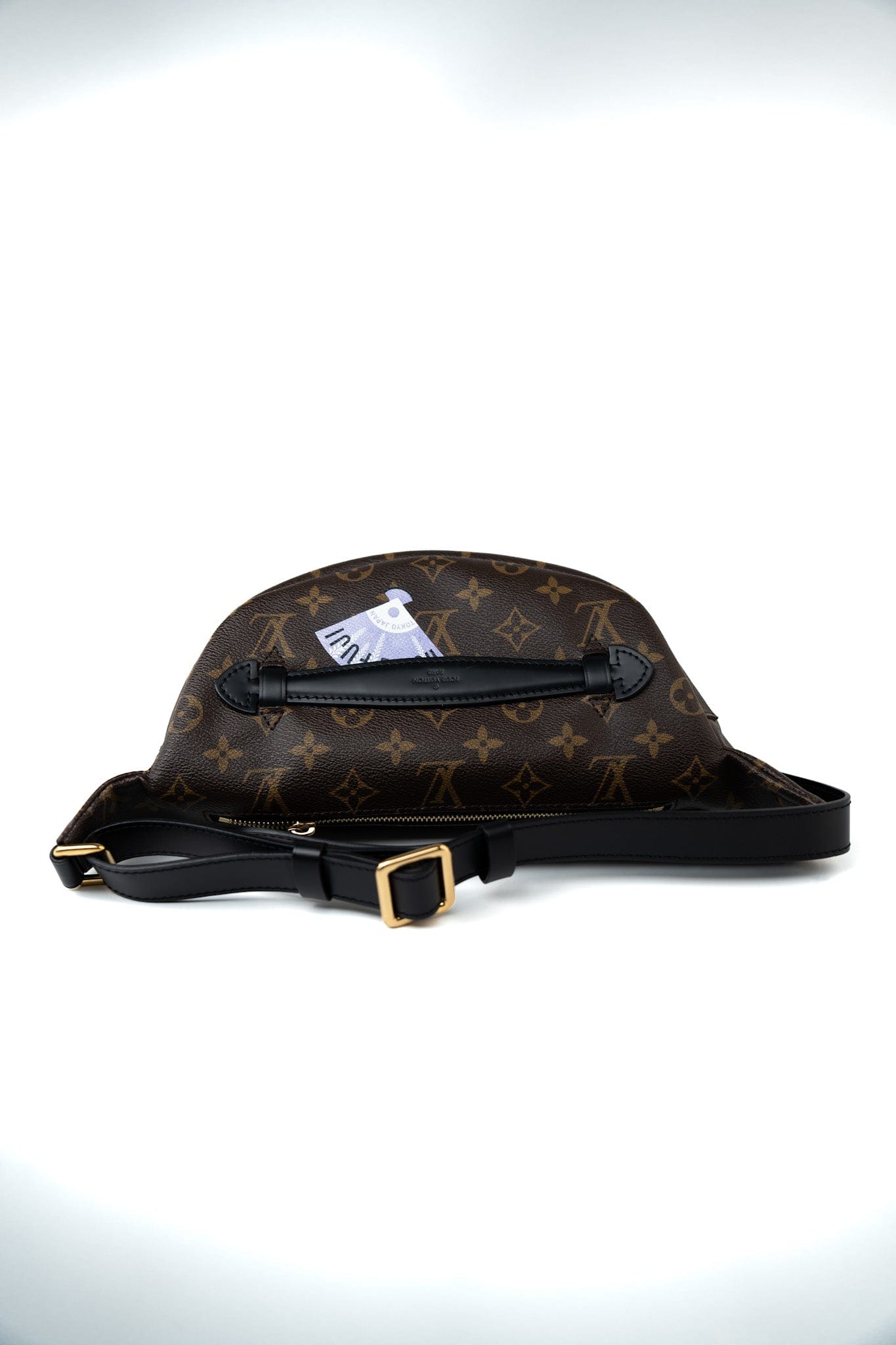 Louis Vuitton Monogram My LV World Tour Bumbag