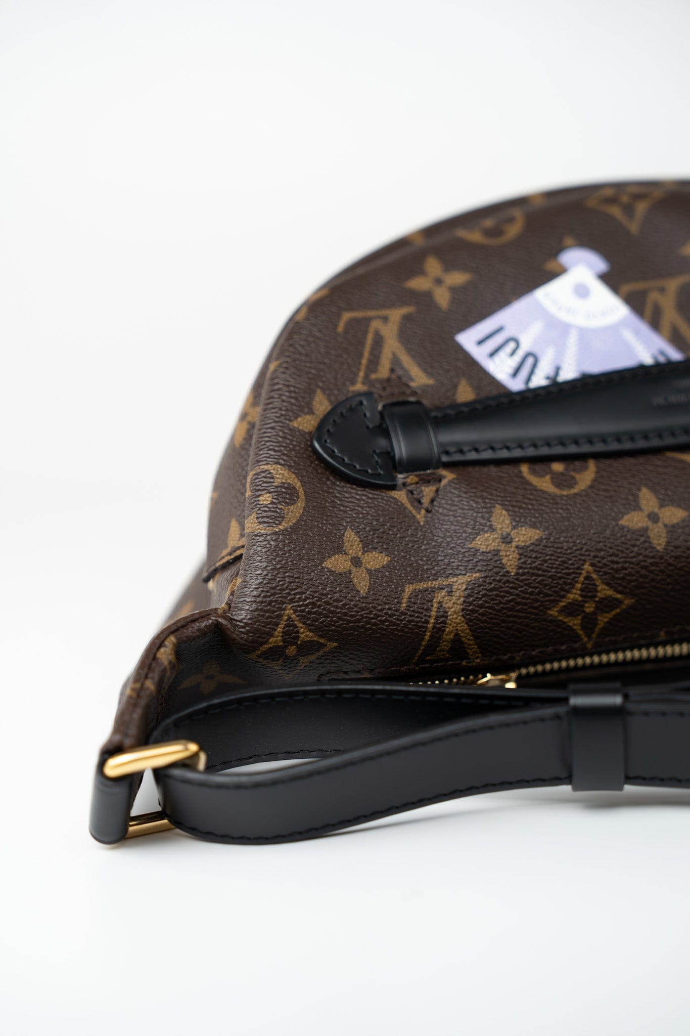 Louis Vuitton Monogram My LV World Tour Bumbag