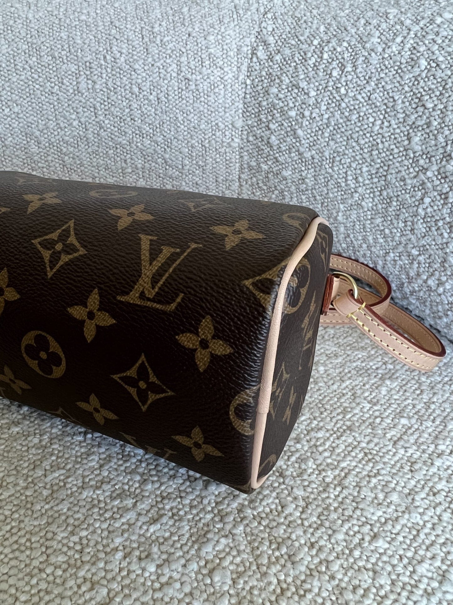 LOUIS VUITTON Monogram Nano Speedy